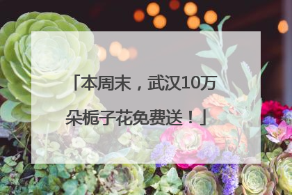 本周末，武汉10万朵栀子花免费送！