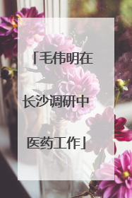 毛伟明在长沙调研中医药工作