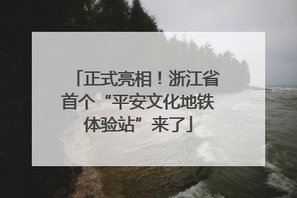 正式亮相！浙江省首个“平安文化地铁体验站”来了