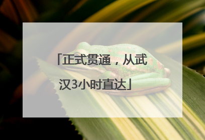 正式贯通，从武汉3小时直达
