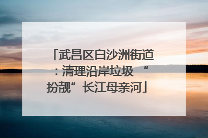 武昌区白沙洲街道：清理沿岸垃圾 “扮靓”长江母亲河