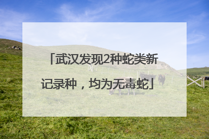 武汉发现2种蛇类新记录种，均为无毒蛇