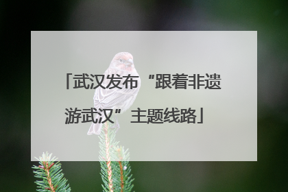 武汉发布“跟着非遗游武汉”主题线路