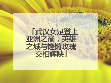 武汉女足登上亚洲之巅，英雄之城与铿锵玫瑰交相辉映