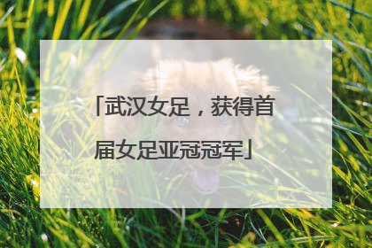 武汉女足，获得首届女足亚冠冠军