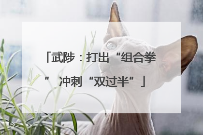 武陟：打出“组合拳” 冲刺“双过半”
