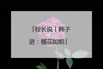 校长说丨韩子进：榴花如焰