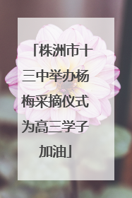 株洲市十三中举办杨梅采摘仪式为高三学子加油
