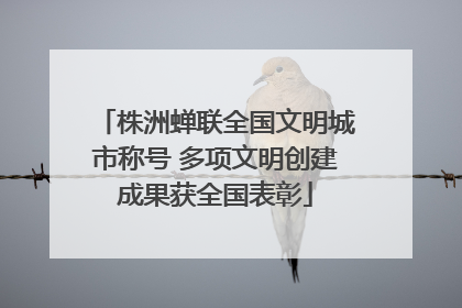 株洲蝉联全国文明城市称号 多项文明创建成果获全国表彰