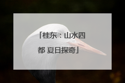 桂东：山水四都 夏日探奇