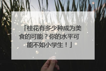 桂花有多少种成为美食的可能？你的水平可能不如小学生！