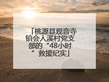 桃源县观音寺镇会人溪村党支部的“48小时”救援纪实