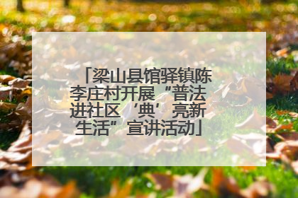 梁山县馆驿镇陈李庄村开展“普法进社区‘典’亮新生活”宣讲活动