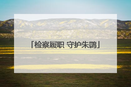 检察履职 守护朱鹮