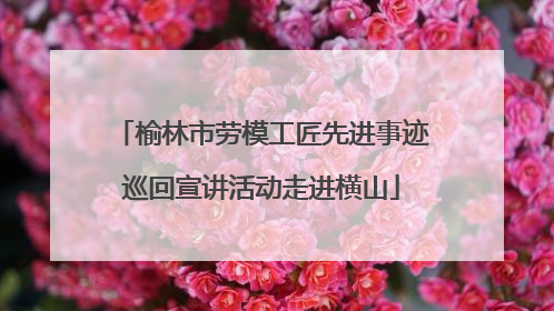 榆林市劳模工匠先进事迹巡回宣讲活动走进横山