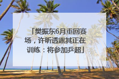 樊振东6月重回赛场，许昕透露其正在训练：将参加乒超