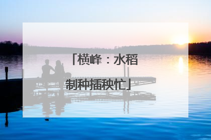 横峰：水稻制种插秧忙
