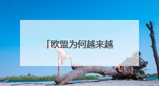 欧盟为何越来越生以色列的气