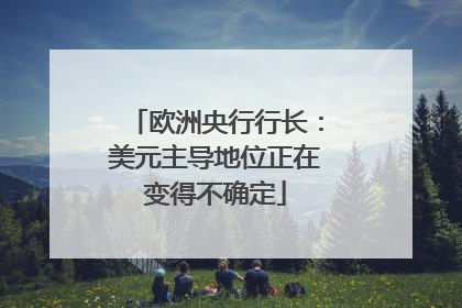 欧洲央行行长：美元主导地位正在变得不确定