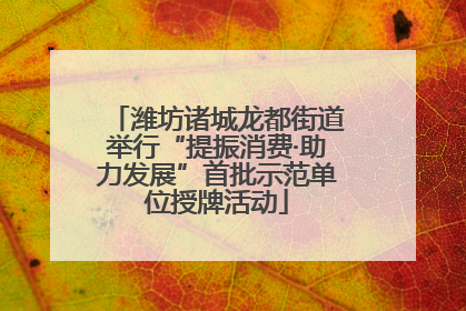 潍坊诸城龙都街道举行“提振消费·助力发展”首批示范单位授牌活动