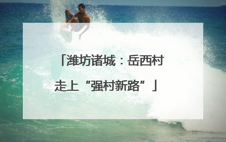 潍坊诸城：岳西村走上“强村新路”