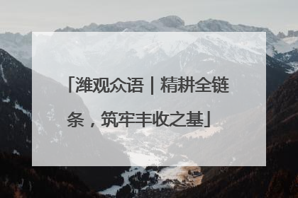 潍观众语｜精耕全链条，筑牢丰收之基