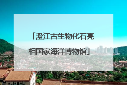澄江古生物化石亮相国家海洋博物馆