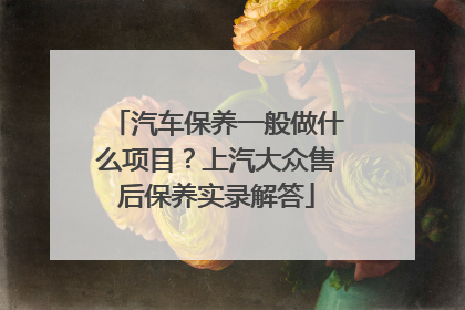 汽车保养一般做什么项目？上汽大众售后保养实录解答