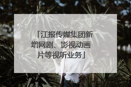 江报传媒集团新增网剧、影视动画片等视听业务