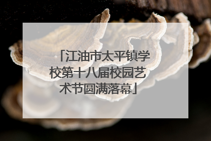 江油市太平镇学校第十八届校园艺术节圆满落幕