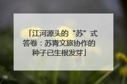 江河源头的“苏”式答卷：苏青文旅协作的种子已生根发芽