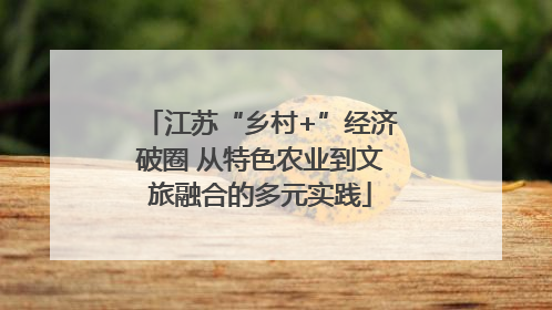 江苏“乡村+”经济破圈 从特色农业到文旅融合的多元实践