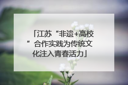 江苏“非遗+高校”合作实践为传统文化注入青春活力