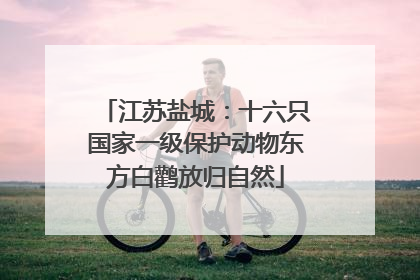 江苏盐城：十六只国家一级保护动物东方白鹳放归自然