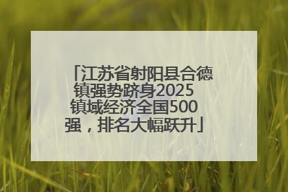 江苏省射阳县合德镇强势跻身2025镇域经济全国500强，排名大幅跃升