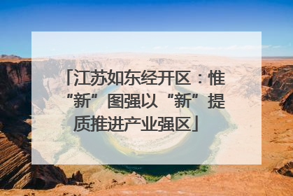 江苏如东经开区：惟“新”图强以“新”提质推进产业强区