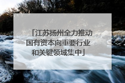 江苏扬州全力推动国有资本向重要行业和关键领域集中