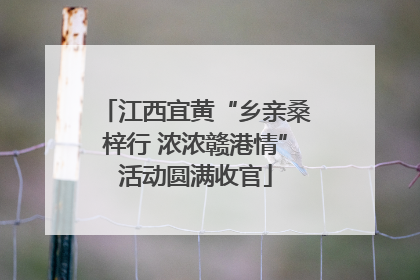 江西宜黄“乡亲桑梓行 浓浓赣港情”活动圆满收官