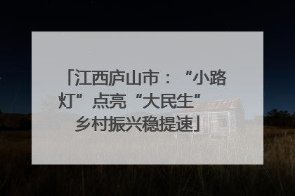 江西庐山市：“小路灯”点亮“大民生” 乡村振兴稳提速