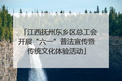 江西抚州东乡区总工会开展“六一”普法宣传暨传统文化体验活动