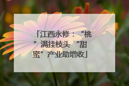 江西永修：“桃”满挂枝头 “甜蜜”产业助增收