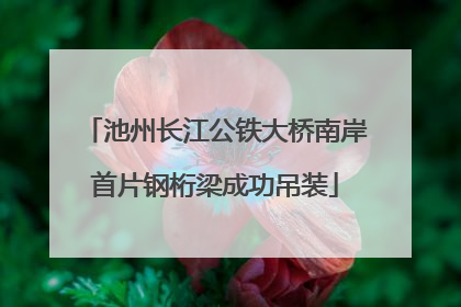 池州长江公铁大桥南岸首片钢桁梁成功吊装