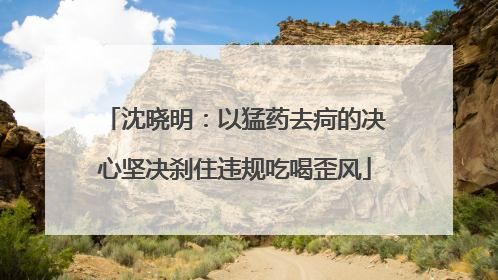 沈晓明：以猛药去疴的决心坚决刹住违规吃喝歪风