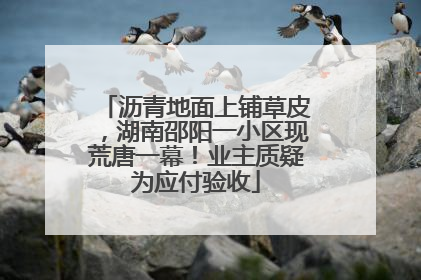 沥青地面上铺草皮，湖南邵阳一小区现荒唐一幕！业主质疑为应付验收