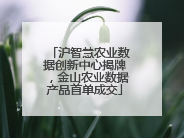 沪智慧农业数据创新中心揭牌，金山农业数据产品首单成交