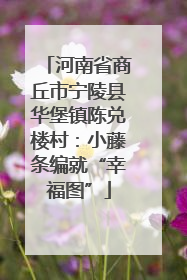 河南省商丘市宁陵县华堡镇陈兑楼村：小藤条编就“幸福图”