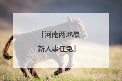 河南两地最新人事任免