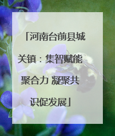 河南台前县城关镇：集智赋能聚合力 凝聚共识促发展