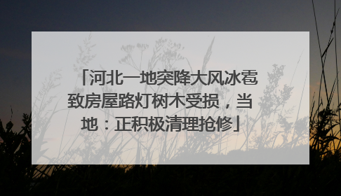 河北一地突降大风冰雹致房屋路灯树木受损，当地：正积极清理抢修