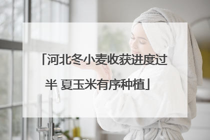 河北冬小麦收获进度过半 夏玉米有序种植